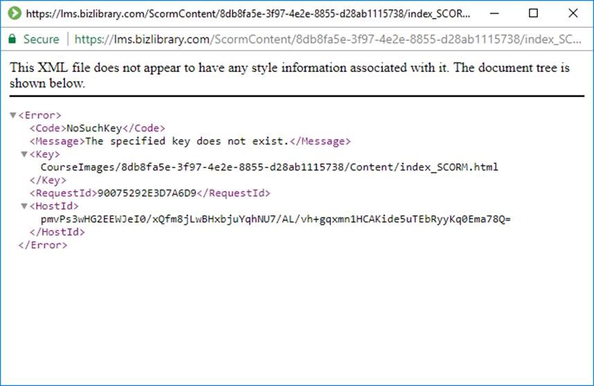 Launch Issuse Screenshot.jpg
